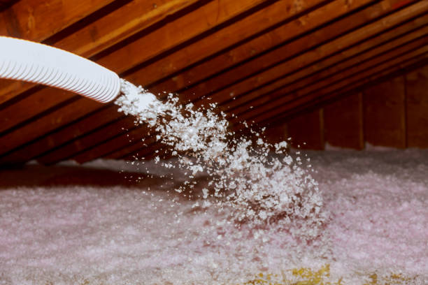 Reliable Dovesville, SC Insulation Contractor Solutions