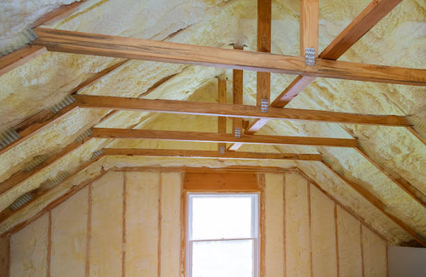 Best Insulation for New Construction  in Dovesville, SC