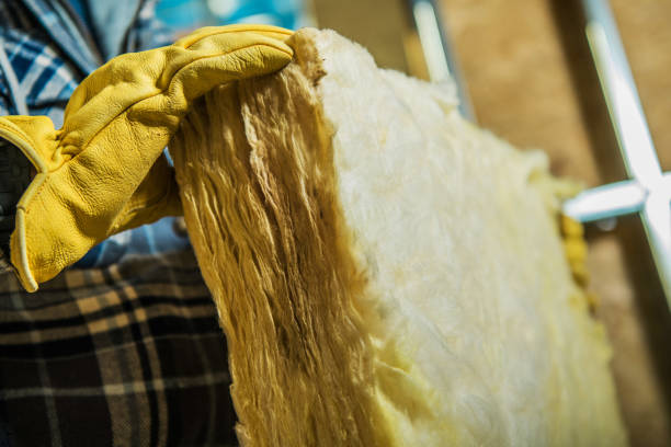 Best Affordable Insulation Services  in Dovesville, SC