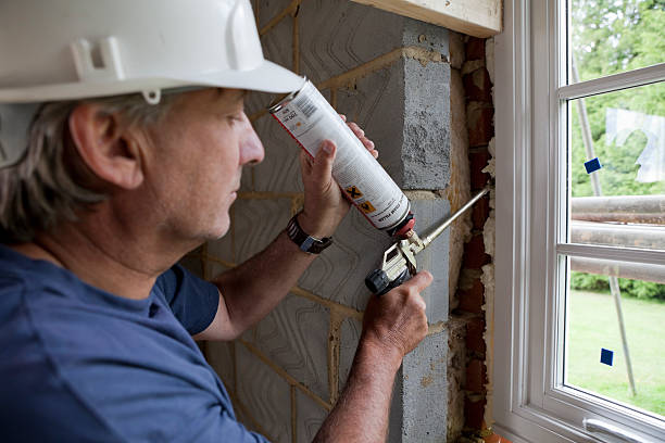 Best Blown-in Insulation  in Dovesville, SC
