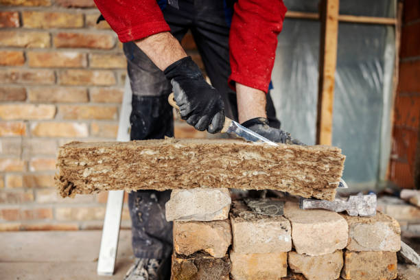 Best Insulation Contractor Near Me  in Dovesville, SC