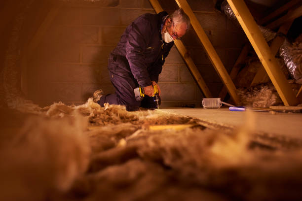 Best Affordable Insulation Services  in Dovesville, SC