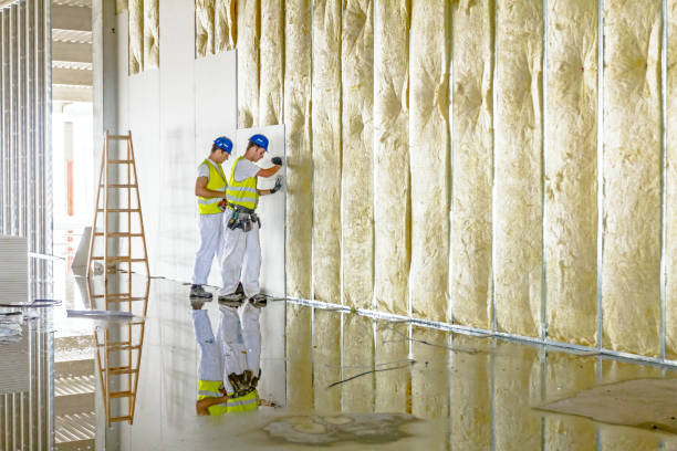 Insulation Inspection Services in Dovesville, SC